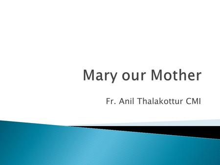 Fr. Anil Thalakottur CMI