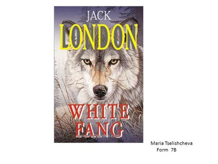 White Fang By Jack London Maria Tselishcheva Form 7B.