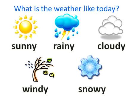 What is the weather like today?