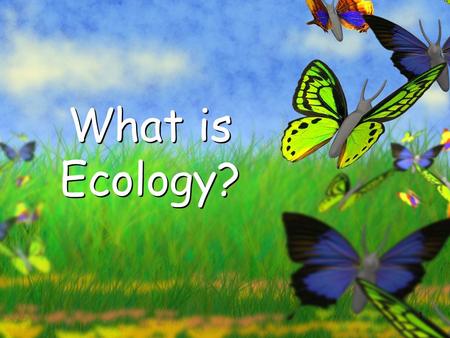 1 What is Ecology?. 2 Organisms and Their Environment Organisms and Their Environment.