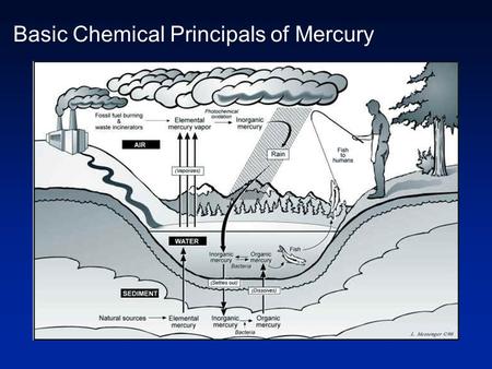 Basic Chemical Principals of Mercury