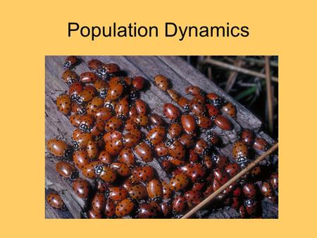 Population Dynamics. Population Growth Populations grow exponentially Exponential growth is an increase by a percentage –Looks like a curve when graphed.