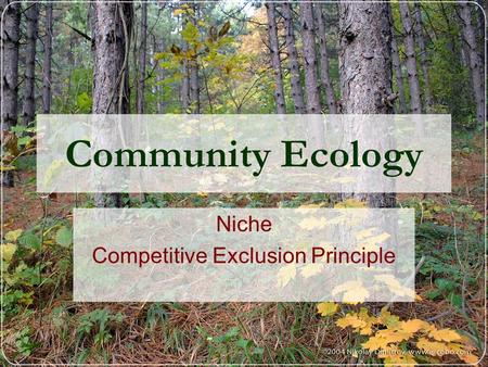 Niche Competitive Exclusion Principle