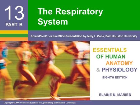 ELAINE N. MARIEB EIGHTH EDITION 13 Copyright © 2006 Pearson Education, Inc., publishing as Benjamin Cummings PowerPoint ® Lecture Slide Presentation by.