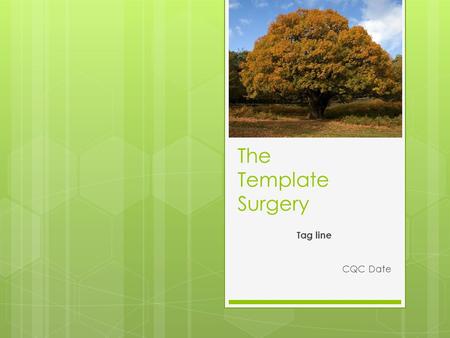 The Template Surgery Tag line CQC Date. Introduction NHS Contract Approximately x patients Established over x years Purpose built surgery.