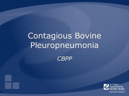 Contagious Bovine Pleuropneumonia CBPP. Center for Food Security and Public Health Iowa State University 2006 Overview Cause Economic impact Distribution.