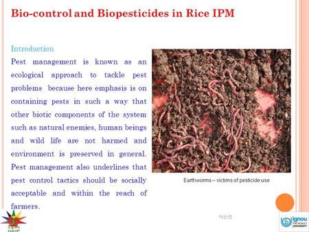 Bio-control and Biopesticides in Rice IPM