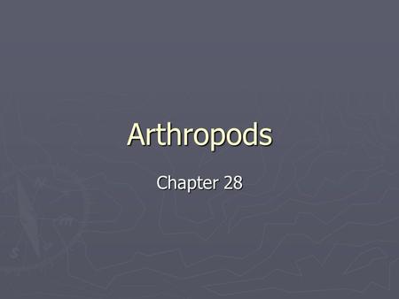 Arthropods Chapter 28. Characteristics of Arthropods ► Exoskeleton which must be shed when the organism is growing…..shedding of the exoskeleton and the.