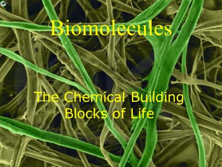 Biomolecules The Chemical Building Blocks of Life.