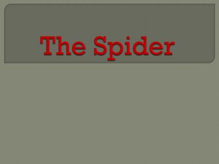 Spiders are not insects. Insects have three body parts and six legs. Spiders have eight legs and two body parts. Spider Insect.