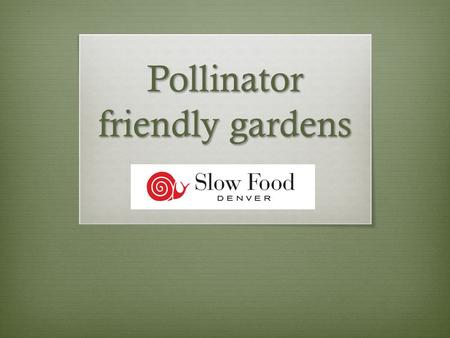 Pollinator friendly gardens. Suggested Plants  Native perennial flowering plants  Herbs  Fruit trees or flowering trees  Annual weeds and flowers.