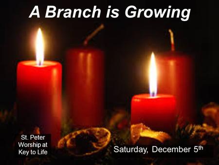 A Branch is Growing St. Peter Worship at Key to Life Saturday, December 5 th.