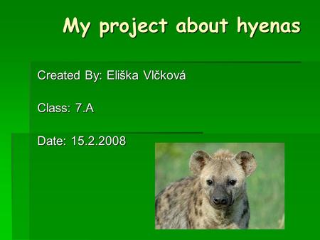 My project about hyenas Created By: Eliška Vlčková Class: 7.A Date: 15.2.2008.