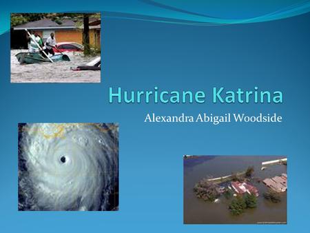 Alexandra Abigail Woodside. SS.4.G.1.3= Explain how weather impacts Florida. SS.4.G.1.1= Identify physical features of Florida SS.B.2.2.2.= understands.