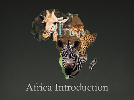 Physical Geography  Fun Facts:  Africa is VERY diverse.  There are 700 different cultures  2,000 different languages  North Africa is very different.