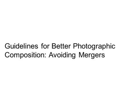 Guidelines for Better Photographic Composition: Avoiding Mergers.