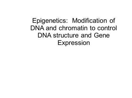 Genetic Variation is a Change in the DNA Sequence