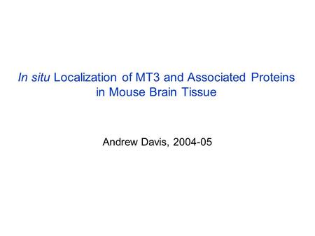 In situ Localization of MT3 and Associated Proteins in Mouse Brain Tissue Andrew Davis, 2004-05.