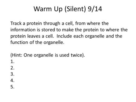 Warm Up (Silent) 9/14 Track a protein through a cell, from where the information is stored to make the protein to where the protein leaves a cell. Include.