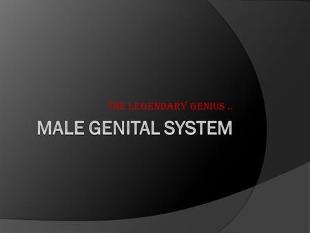 The Legendary Genius... Development of Gonads - During 5 th week: gonadal development occurs. - Until 7 th week: gonads are similar in both sexes.