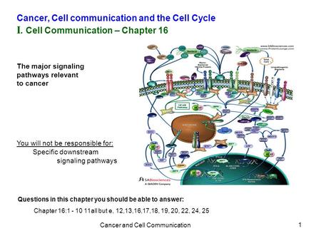 Cancer and Cell Communication