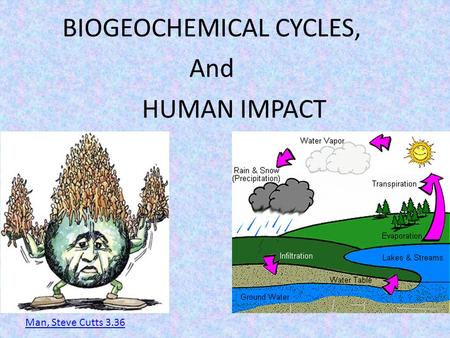 BIOGEOCHEMICAL CYCLES,