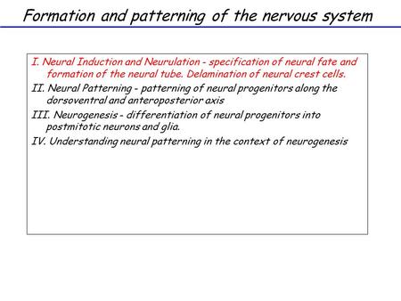 Formation and patterning of the nervous system