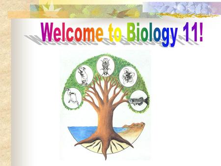 Life processes Cell theory Microscope Cell structure and function Animal vs plant cell Unicellular and multicellular organisms.