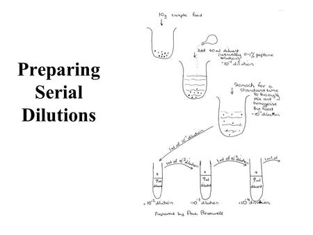 Preparing Serial Dilutions