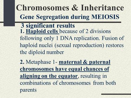 Chromosomes & Inheritance Gene Segregation during MEIOSIS 3 significant results 1. Haploid cells because of 2 divisions following only 1 DNA replication.