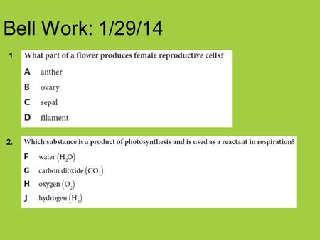 Bell Work: 1/29/14 1. 2.. Describe in this picture how animals obtain oxygen. Once they obtain the oxygen, how is it used? What is the relationship.