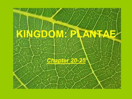 KINGDOM: PLANTAE Chapter 20-25. Vocabulary Adaptation Alternation of generations Colonial Dicots Enclosed seeds Flowers fruit Leaves Monocots Multicellular.