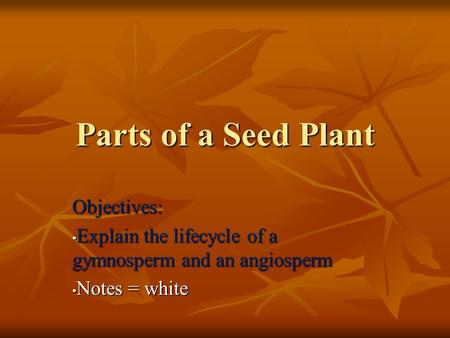 Parts of a Seed Plant Objectives: Explain the lifecycle of a gymnosperm and an angiosperm Explain the lifecycle of a gymnosperm and an angiosperm Notes.