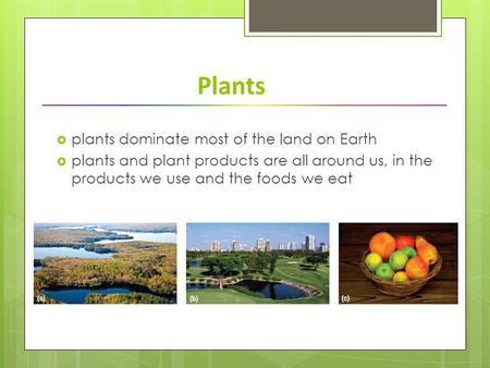 Plants  plants dominate most of the land on Earth  plants and plant products are all around us, in the products we use and the foods we eat.