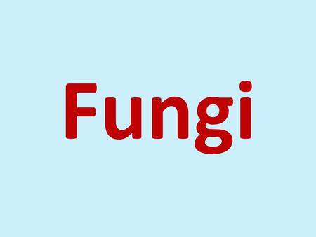 Fungi. Characteristics of fungi  Eukaryote  Heterotroph  Cell wall is present  Do not contain chlorophyll  Heterotrophs  Decomposers (organic matter)