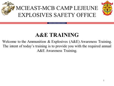 1 A&E TRAINING Welcome to the Ammunition & Explosives (A&E) Awareness Training. The intent of today’s training is to provide you with the required annual.