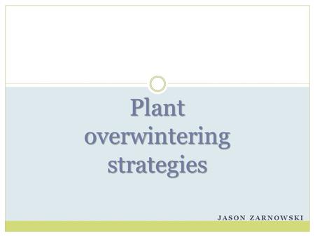 Plant overwintering strategies