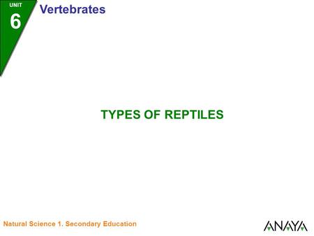 UNIT 6 Vertebrates TYPES OF REPTILES Natural Science 1. Secondary Education.