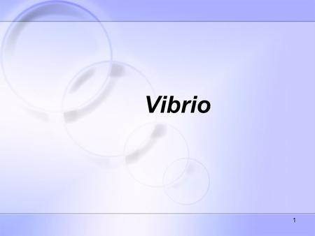 Vibrio.