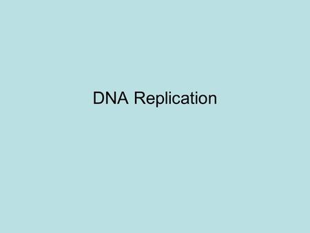 DNA Replication.