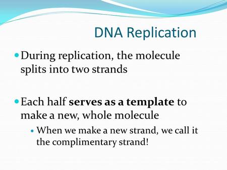 DNA Replication During replication, the molecule splits into two strands Each half serves as a template to make a new, whole molecule When we make a new.