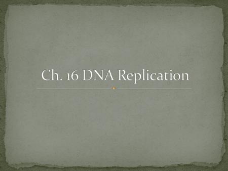 Origins of replication- start cite of DNA replication Replication fork- where the new strand of DNA elongates DNA Polymerase- Elongates the DNA, adds.