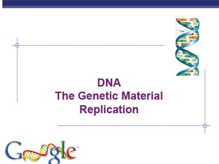 Regents Biology Paired bases  DNA structure  double helix  2 sides like a ladder  Bases match together  A pairs with T  A : T  C pairs with.