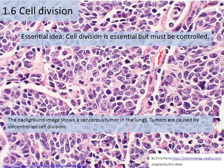 By Chris Paine https://bioknowledgy.weebly.com/ 1.6 Cell division Essential idea: Cell division is essential but must be controlled. The background image.