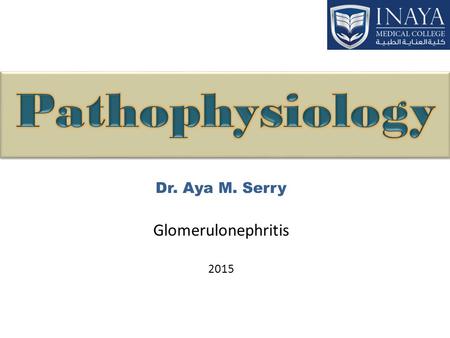 Dr. Aya M. Serry Glomerulonephritis 2015. Glomerul/o/nephr/it is glomeruli kidney inflammation Alternative names: acute/chronic nephritis, glomerular.