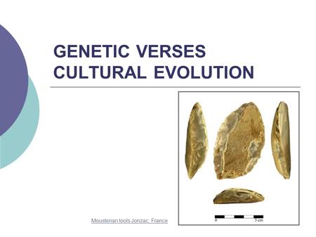 GENETIC VERSES CULTURAL EVOLUTION