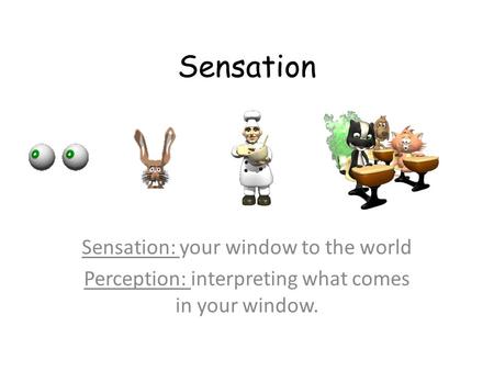 Sensation Sensation: your window to the world Perception: interpreting what comes in your window.