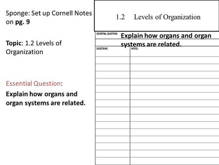 1.2 Levels of Organization