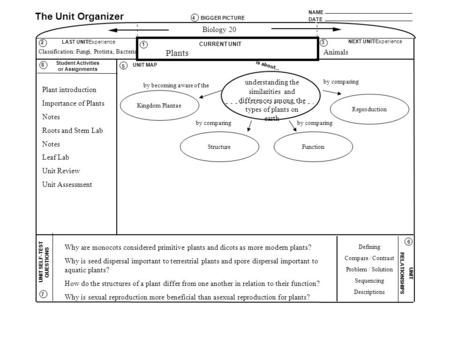 NAME DATE The Unit Organizer BIGGER PICTURE LAST UNIT/Experience CURRENT UNIT NEXT UNIT/Experience UNIT SELF-TEST QUESTIONS is about... UNIT RELATIONSHIPS.