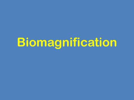 Biomagnification.